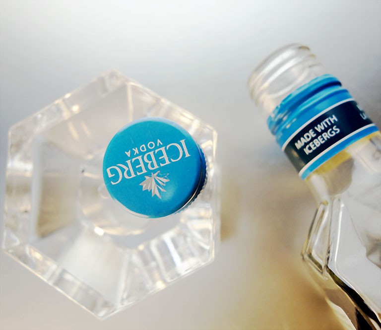 Special Shape Vodka Glass Bottle